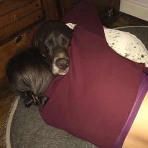 Meet your Posher, Sydney